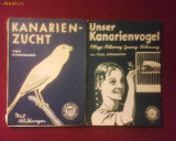 Paul Hohmann Unser Kanarienvogel si Kanarienzucht