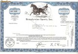 209 Actiuni SUA -Brandywine Sports, Inc. -seria BRU 3461