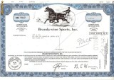 210 Actiuni SUA -Brandywine Sports, Inc. -seria BRU 5947