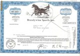 211 Actiuni SUA -Brandywine Sports, Inc. -seria BRU 4463