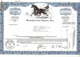 208 Actiuni SUA -Brandywine Sports, Inc. -seria BRU 2169