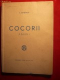 V.DEMETRIUS - COCORII - cca 1930 ,probabil I Eitie.