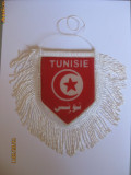 FANION CU STEAGUL TUNISIAN