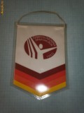 64 Fanion - CESKOSLOVENSKA SPARTAKIADA 1980