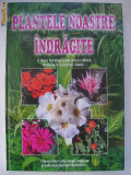 Plantele noastre indragite, 1996, Aquila