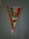 93 Fanion - Wojskowy Klub Sportowy-Slask -Wroklaw(POLONIA)