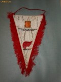 151 Fanion - GENERALITAT DE CATALUNYA (SPANIA)