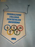 173 Fanion -FEDERATIA ITALIANA DE PENTATLON