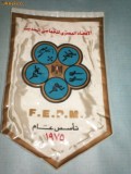 187 Fanion - F.E.P.M. (EGYPT? -PENTATLON)(scriere araba)