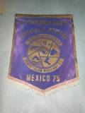 158 Fanion - FEDERATIA MEXICANA DE PENTATLON 1975