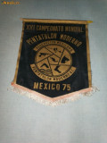 160 Fanion - FEDERATIA MEXICANA DE PENTATLON 1975