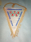 169 Fanion -FEDERATIA ITALIANA DE PENTATLON MODERN