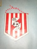 110 Fanion - CIL SIGHET