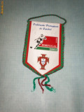 217 Fanion - FEDERATIA PORTUGHEZA DE FOTBAL