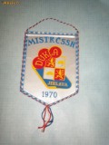 203 Fanion - MISTR CSSR DUKLA JIHLAVA (CEHOSLOVACIA)