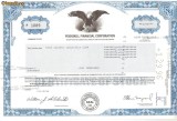 541 Actiuni -Peekskill Financial Corporation -seria P 1089