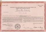 580 Actiuni -Precision Optics Incorporated -seria W 1171 (promotional)