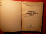 Indrumatorul Zugravului Vopsitor , Tapetar - Ed.Tehn. 1963