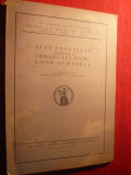 N. Banescu - Urmasii lui Petru Schiopul - Acte Venetiene-1929, 68 pag ,3pag foto