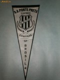 281 Fanion A.A.Ponte Preta, Brasil (fotbal -Brazilia)