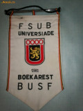 286 Fanion Universiada Bucuresti 1981