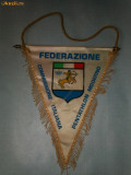 255 Fanion -Federatia Italiana de Pentatlon Modern