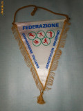 252 Fanion -Federatia Italiana de Pentatlon Modern