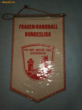 280 Fanion Handbal Feminin Bundesliga (Germania)