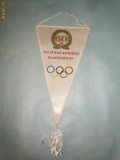 322 Fanion 60 de ani Comitetul Olimpic Polonez