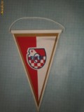 320 Fanion sportiv Croatia