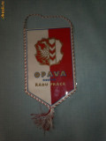 318 Fanion Opava nositel Radu Prace(Cehia -Cehoslovacia)