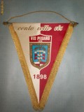 324 Fanion Vis Pesaro -1898 (Club de fotbal -Italia)