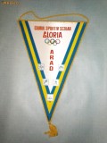 327 Fanion CLUBUL SPORTIV SCOLAR GLORIA ARAD