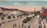 B13422 Cristurul Sacuesc