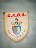 447 Fanion C.R.O.S. -Region des Pays de la Loire (Franta)