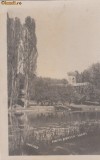 B11422 Parcul Bibescu Lacul