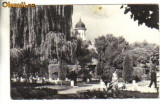 Bnk cp radauti - vedere din parc - circulata 1963