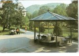 CP184-57 Calimanesti. Sanatoriul si parcul statiunii -circulata 1991