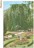 CP184-12 Slanic Moldova -Vedere din parc(RPR) -circulata 1961