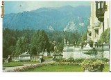 CP184-16 Sinaia -Terasa Muzeului Peles -circulata 1967