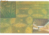 CP187-60 Constanta -Muzeul de istorie(mozaicul) -carte postala necirculata