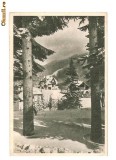 CP189-81 Predeal -Vedere spre Cioplea -RPR -carte postala circulata 1955 -sepia