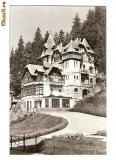 CP189-62 Vila la Sinaia -carte postala necirculata