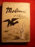 I.L.PERET - MOLIMA - Nuvele - 1946