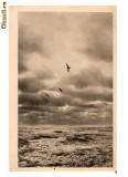 CP190-92 Constanta -Peisaj marin -RPR -sepia -carte postala circulata 1956