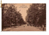 CP191-100 Braila.Denkmal-Allee -Aleia Monumentului -carte postala circulata 1930 , la Cernauti