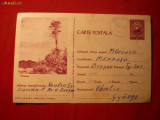 Carte Postala Ilustrata intitulata INDRAZNETUL cod 36b/1962