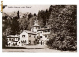 CP191-85 Sinaia -Casa de creatie ,,Foisorul&quot; -RPR -carte postala circulata 1964