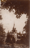 B18556 Sinaia Castelul Peles