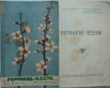 Gavriliu, Costetchi, Pepiniere iesene, 1936